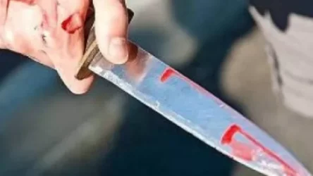 15-ամյա պատանին դանակահարել է հասակակցին