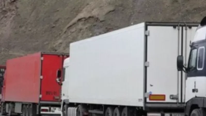State Revenue Committee Urges Temporary Restriction on Truck Traffic with Trailers at Guguti-Gogavan Checkpoint