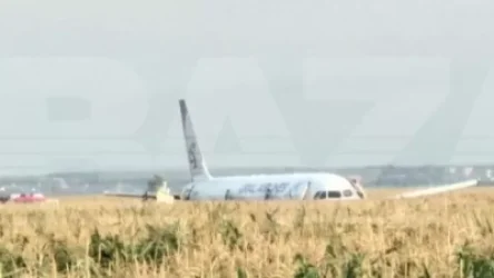 ՌԴ-ում այրվող շարժիչով А321 օդանավը վթարային վայրէջք է կատարել եգիպտացորենի դաշտում