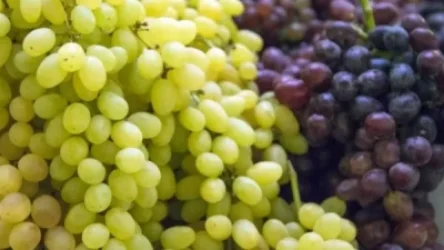 Այսօր Սբ. Աստվածածնի Վերափոխման տոնն է՝ Խաղողօրհնեքը