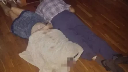 Ռուսաստանում դեռահասը կացնահարել է ընտանիքի անդամներին