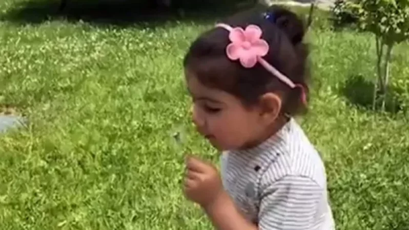 Երեխա, որը խոչընդոտում է ազատ լրատվամիջոցի աշխատանքը․ Փաշինյանը՝ դստեր մասին