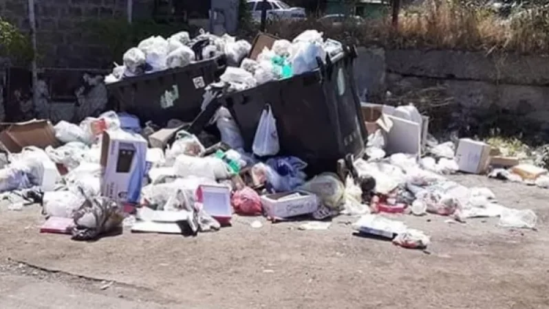 Երևանի պարտադրված քաղաքային իշխանության դեմքը. Սոնա Աղեկյանը՝ կրկին աղբի խնդրի մասին