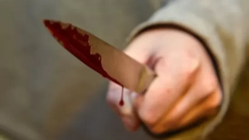 Երիտասարդը դանակի բազմաթիվ հարվածներով սպանություն է գործել, հետո դին այրել. Shamshyan.com