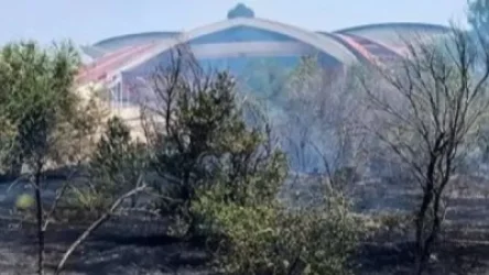 Ծիծեռնակաբերդի զբոսայգում այրվել է մոտ 2 հա բուսածածկույթ և 100 ծառ