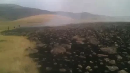 Հրդեհ Արայի լեռան ստորոտում. Դեպքի վայր է մեկնել 2 մարտական հաշվարկ. ԱԻՆ