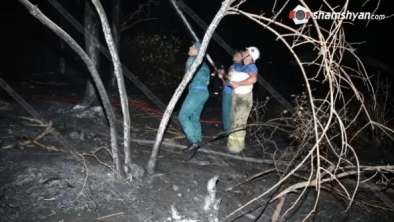 Պատճառը հրավառությո՞ւնն է․ խոշոր հրդեհ Ծիծեռնակաբերդի հարակից անտառում