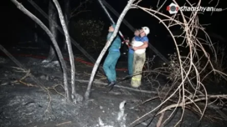 Պատճառը հրավառությո՞ւնն է․ խոշոր հրդեհ Ծիծեռնակաբերդի հարակից անտառում