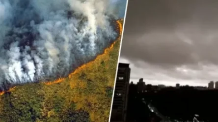 Բրազիլիայի Ամազոնի արևադարձային անտառներում խոշոր հրդեհներ են բռնկվել