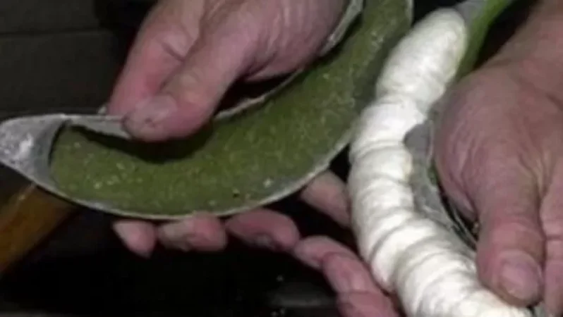 Վաշինգտոնում բանանների մեջ 1 մլն դոլարի կոկաին են հայտնաբերել