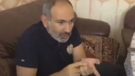 «Էլարդ»-ի փորձագետներին Skype-ով կոնֆերանսի ենք հրավիրելու. Փաշինյան