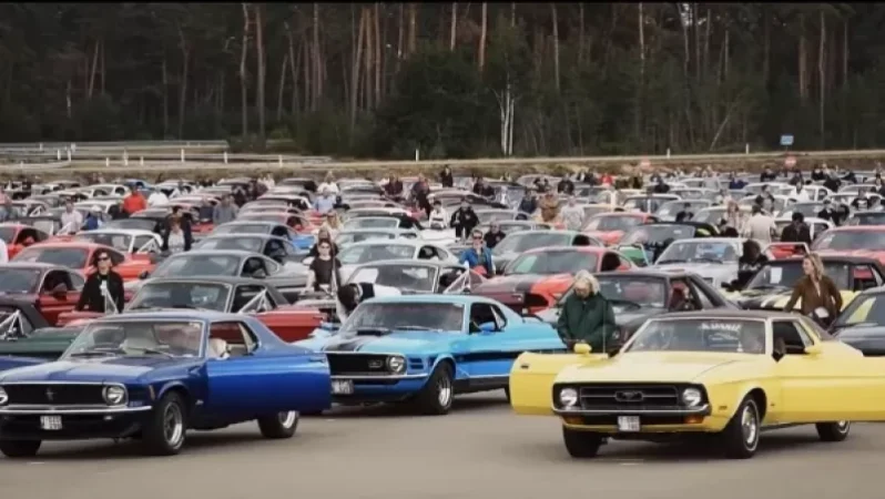 VIDEO. The Largest Gathering of Mustangs