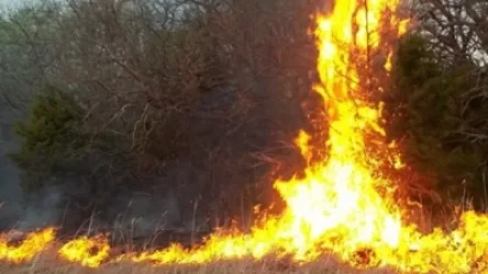 Կրակը կարող է կրկին ակտիվանալ. մանրամասներ Վայոց ձորի մարզում բռնկված հրդեհի մասին