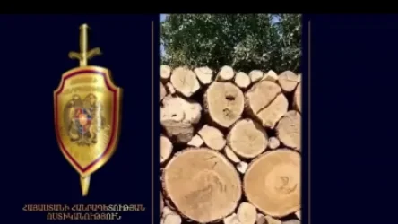 Ոստիկանության Թումանյանի բաժնի ծառայողները բացահայտել են ապօրինի ծառահատման դեպքեր