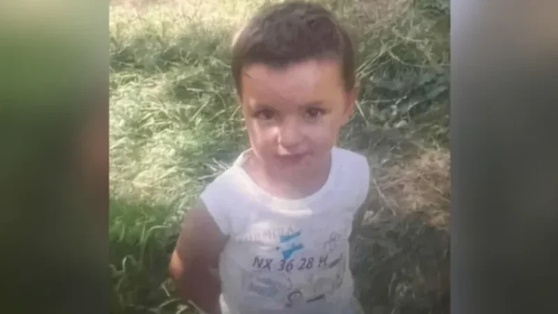 ՀՕՖ ղեկավարը՝ 3-ամյա Տիգրանի սպանությանը հնարավոր ականատես եղած երեխայի մասին