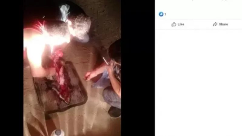 ALERT: Another Poacher from Goris