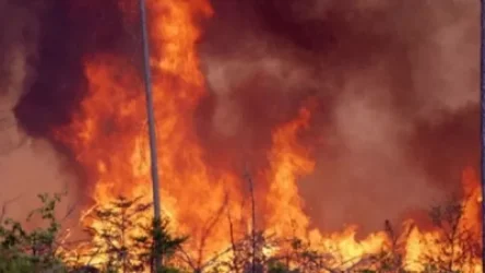 Խոտածածկ տարածքներում բռնկված 26 հրդեհ. ԱԻՆ-ը տվյալներ է ներկայացնում