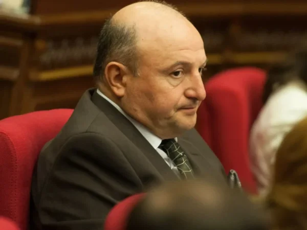 Սա ոչ թե իրավական գործընթաց է, այլ քաղաքական հաշվեհարդարի սցենար․ Անանայանը՝ Վարդան Ղուկասյանի ձերբակալության մասին