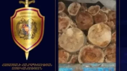 ՏԵՍԱՆՅՈՒԹ. Լոռիում հայտնաբերել են 12 խմ ապօրինի փայտանյութ տեղափոխող բեռնատար