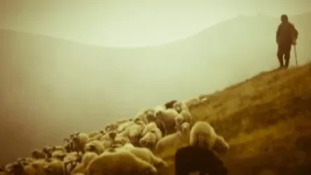 Մանրմասներ 2 հովվի սպանության դեպքի առթիվ