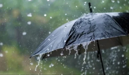 Սպասվում է անձրև. եղանակը Հայաստանում