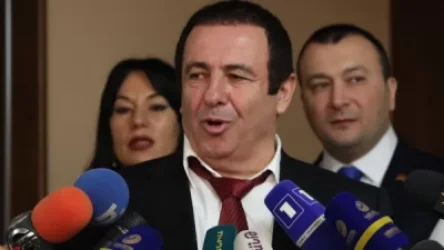 Ծառուկյանը` Ամուլսարի մասին