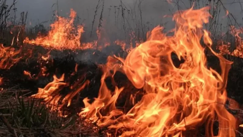 7 հրդեհ է գրանցվել է խոտածածկ տարածքներում