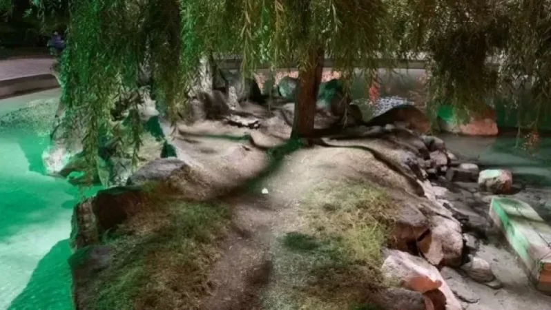 Կարապի լճի կղզին  բացեց դռներն ու լուսավորվեց. Նիկոլ Փաշինյան