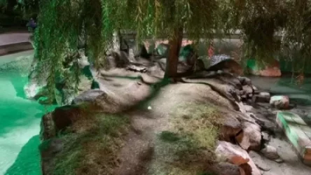 Կարապի լճի կղզին  բացեց դռներն ու լուսավորվեց. Նիկոլ Փաշինյան