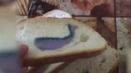 ՏԵՍԱՆՅՈՒԹ․ Չեխով քաղաքի բնակիչը հացի մեջ սպունգ է գտել