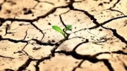 Հայաստանում կիրականացվի դեգրադացված հողերի վերականգնման ծրագիր