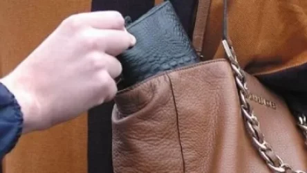 Կխստացվի գրպանահատների պատիժը