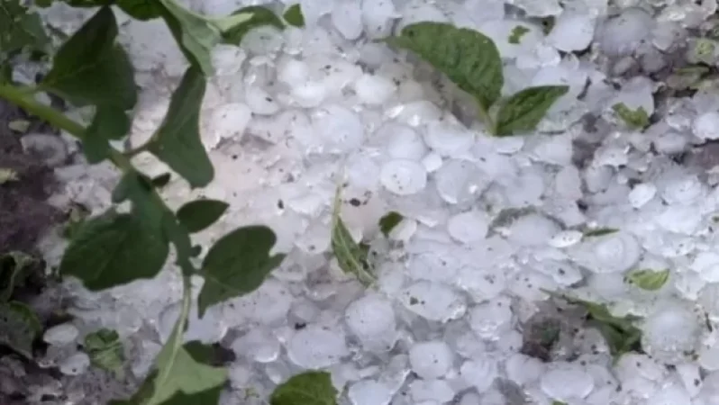 Շիրակում կարկուտից տուժած ընտանիքներին փողհատուցում կտրամադրվի