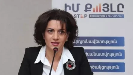 Մի բռնաբարեք լրագրությունը. Աննա Հակոբյան