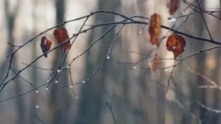 Ջերմաստիճանը կնվազի