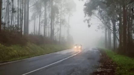 Քաջարան-Մեղրի ավտոճանապարհին մառախուղ է՝ տեսանելիությունը 1-2 մ. ԱԻՆ