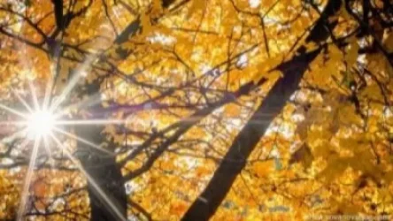 Առաջիկա օրերի եղանակը Հայաստանում