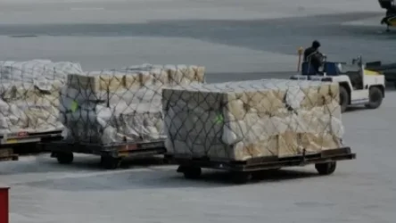 Ապրանքի սխալ դասակարգում, արժեքի կեղծում. ինչ խախտումներ են անում ներմուծողները. Hetq.am