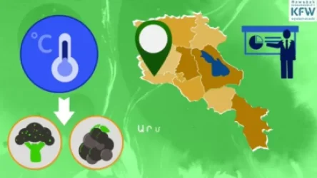 ՏԵՍԱՆՅՈՒԹ. Հայաստանում մեկնարկում է գյուղատնտեսական ապահովագրության գործընթաց. Փաշինյան