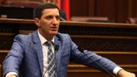 ՍԴ նախագահի լիազորությունները դադարեցնելու հիմնավորումները բավարար չեն. Պետրոսյան