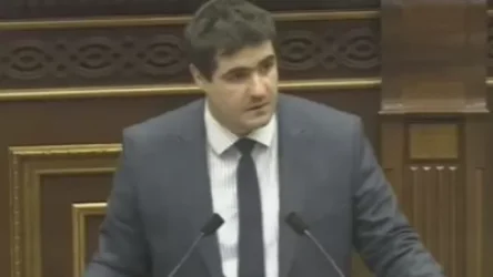 ՏԵՍԱՆՅՈՒԹ. Եղոյանը` Թովմասյանին հորդորեց լրջորեն վերանայել բառապաշարը