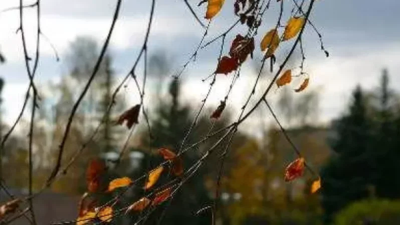 Առաջիկա օրերի եղանակը Հայաստանում