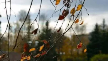 Առաջիկա օրերի եղանակը Հայաստանում