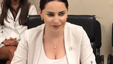 «Հրապարակ»․ Քաղաքացին ընդունելություն է խնդրել Թեհմինա Վարդանյանից և սեր խոստովանել