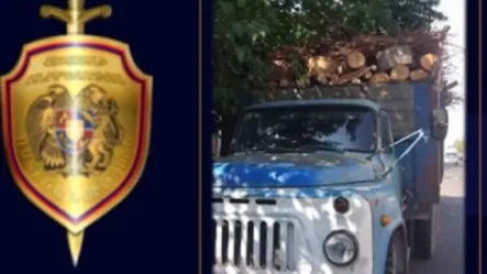 ՏԵՍԱՆՅՈՒԹ. Ոստիկանները փայտանյութով բարձված բեռնատար են հայտնաբերել