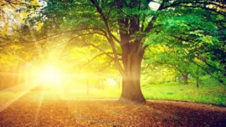 Եղանակ. օդի ջերմաստիճանն էապես չի փոխվի