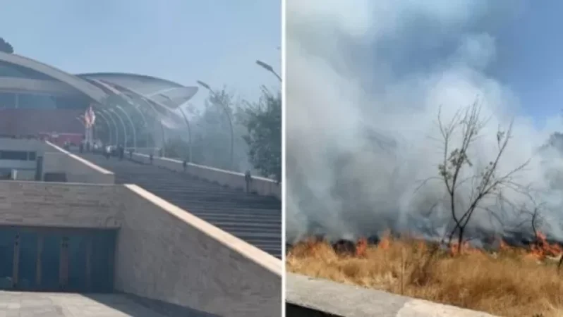 Մարզահամերգային համալիրի մոտակայքում այրվել են ծառեր