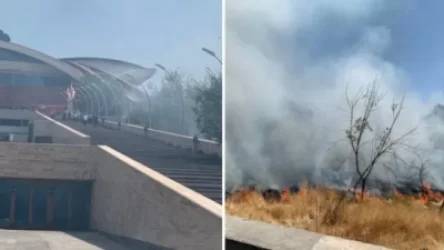 Մարզահամերգային համալիրի մոտակայքում այրվել են ծառեր