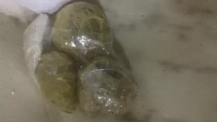 «Արմավիր» ՔԿՀ-ում 4 փաթեթ թմրանյութ է հայտնաբերվել