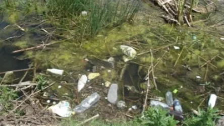 Սևանի ափին հիմա կան օբյեկտներ, որոնք տեղով էկոլոգիական աղետ են. Փաշինյան